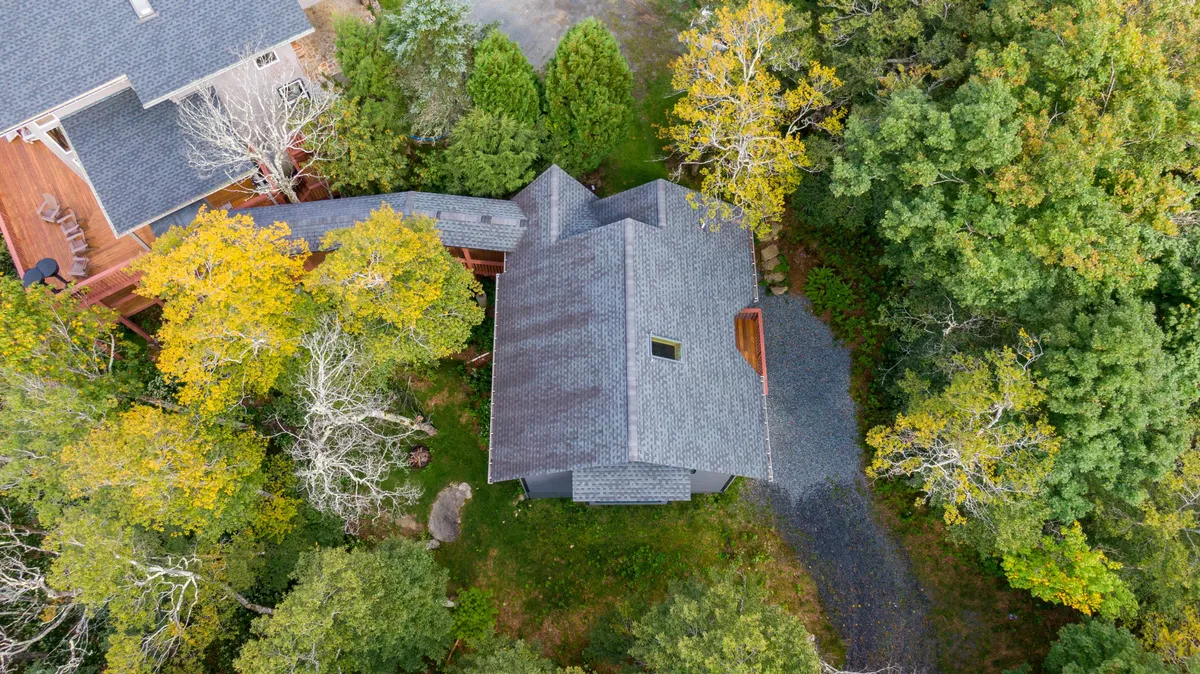 This image captures the house nestled among tall trees with a clear pathway leading into the surrounding open space. The foreground offers a glimpse of grassy areas perfect for walking or letting pets explore, while the trees and foliage reinforce the tranquil, natural mountain setting.