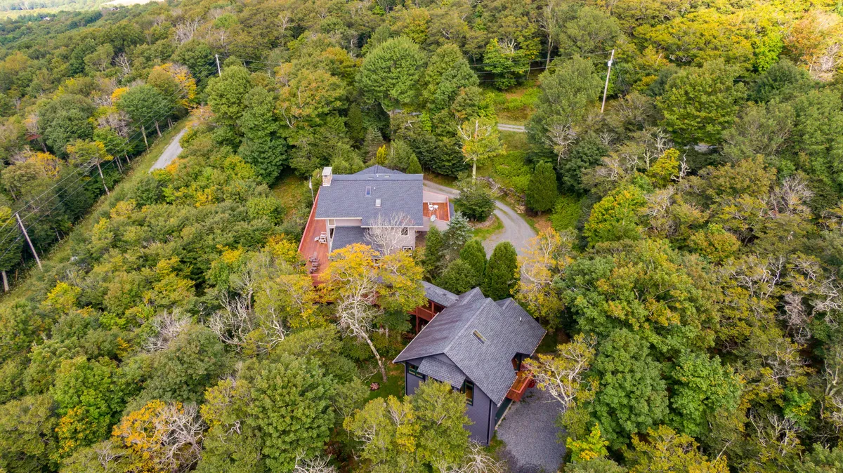 Set among tall trees, this image displays the property’s two distinct buildings connected by a winding driveway. The tranquil forested setting, generous spacing between structures, and ample greenery underline both privacy and the scale of the estate.